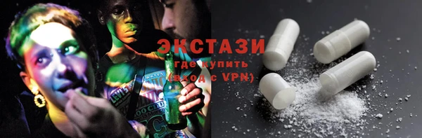 гидра Снежногорск