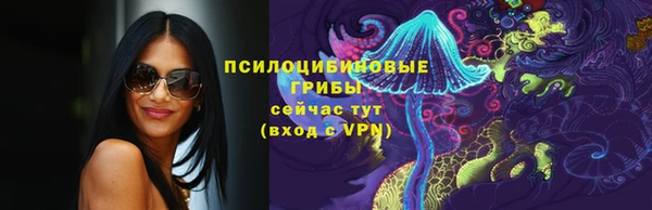 гидра Снежногорск