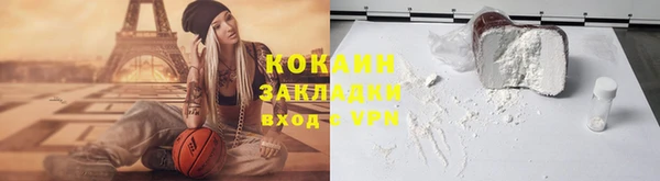 гидра Снежногорск