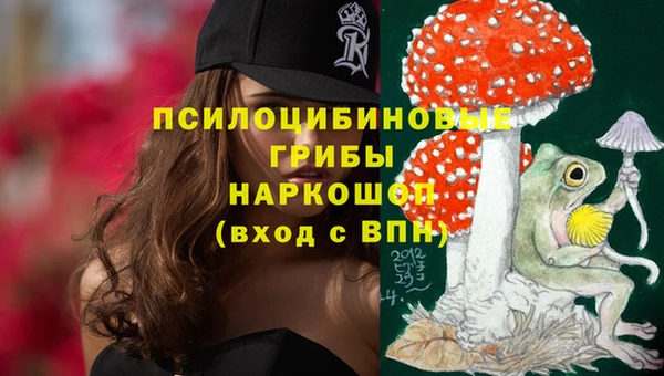 мдпв Сосновоборск