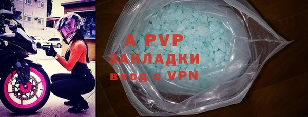 гидра Снежногорск