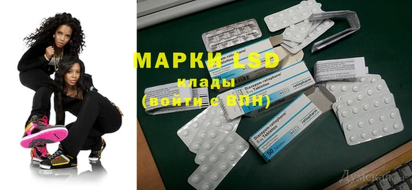 гидра Снежногорск