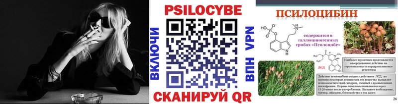 Галлюциногенные грибы Psilocybe  Купить где  Жирновск 